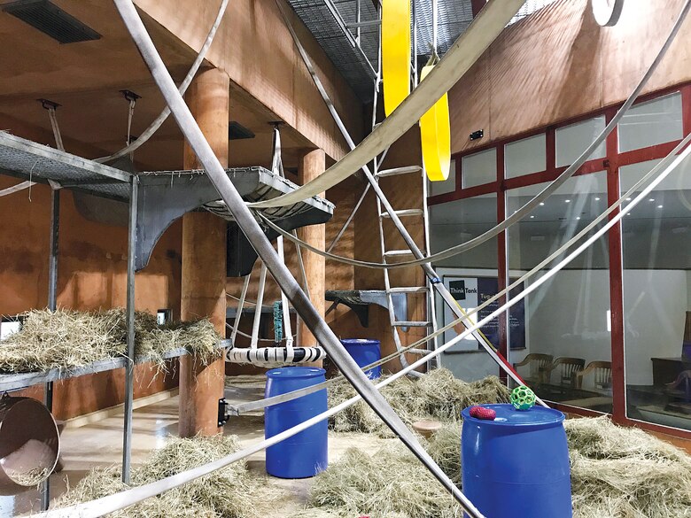 This is a depiction of how the organgutan exhibit was completely overhauled by the Quantico Fire and Rescue donation in the Think Tank building at the National Zoo in Washington, D.C.