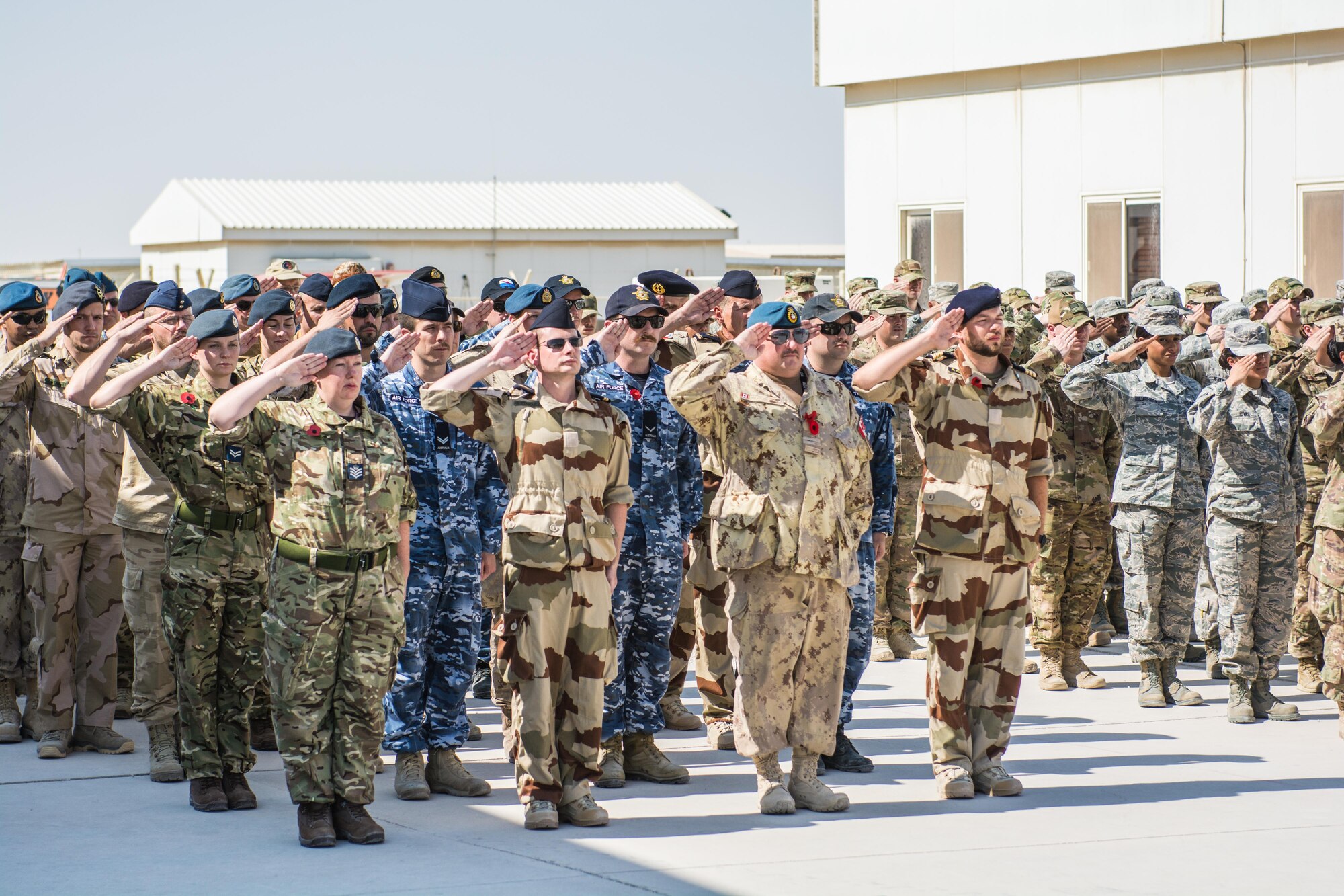 Coalition partners hold joint Remembrance and Veterans Day parade at Al Udeid