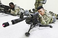 Operation Cold Steel II