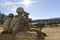 Operation Cold Steel II