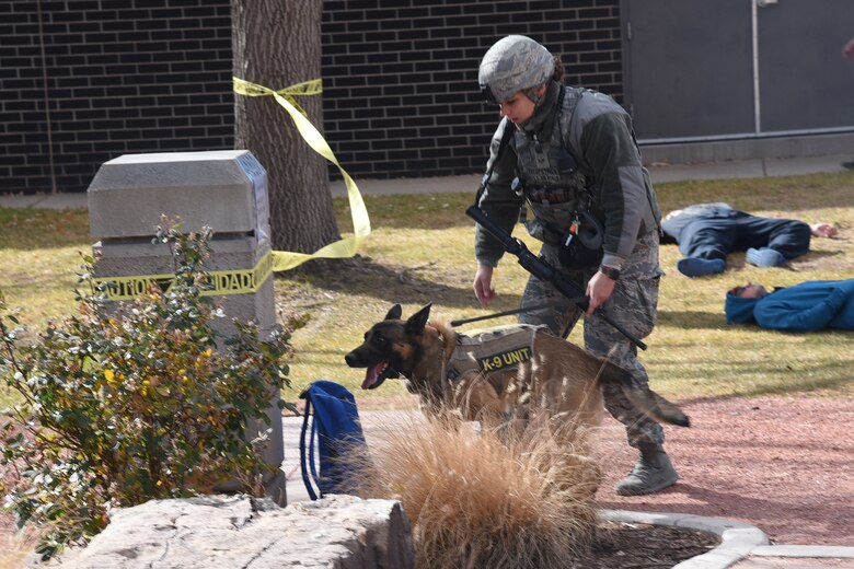 A 21st Security Forces Airman handles a military working dog sniffing for a bomb during a Condor Crest exercise at Peterson Air Force Base, Colorado, Nov. 9, 2017. 21 SFS use MWD’s as part of their daily operations in keeping Peterson AFB safe. (U.S. Air Force photo by Robb Lingley)