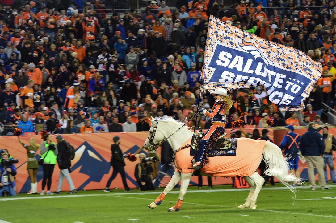 Thunder, Denver Bronco’s live mascot, runs onto the field during halftime while Ann Judge, Thunder’s trainer, holds a Salute to Service flag Nov. 12, 2017, at Sports Authority Stadium at Mile High in Denver.