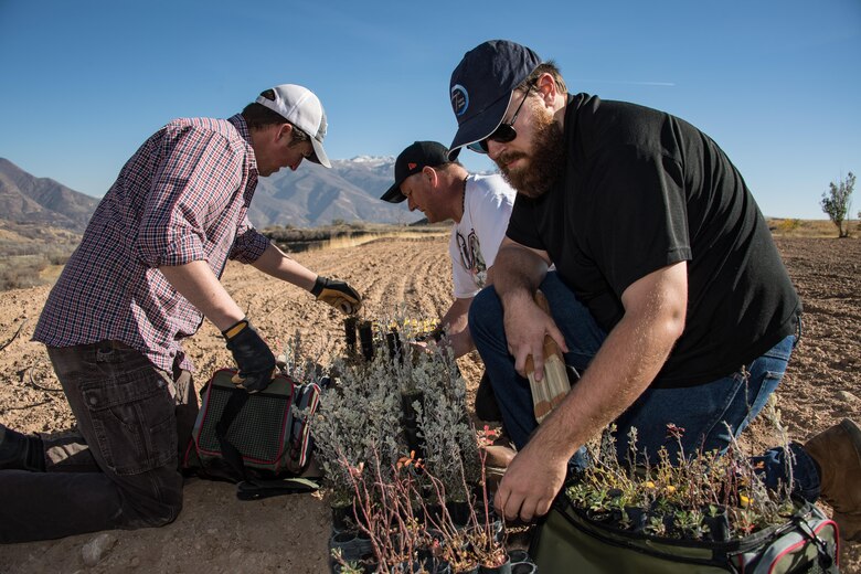 Land enhancement project aids wildlife, benefits base