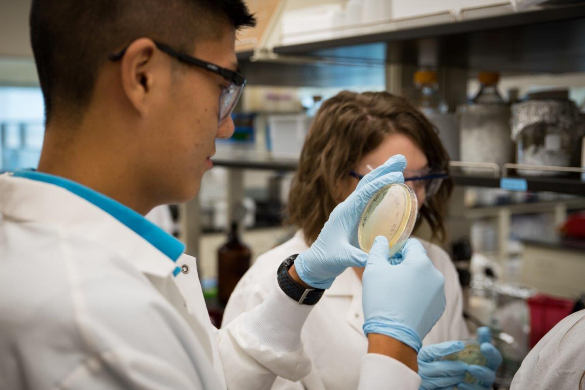 Jason Dong, member of the Air Force Research Laboratory-Carroll High School iGEM team, examines a specimen at a laboratory in the 711th Human Performance Wing during the laboratory phase of the team’s project prior to the iGEM competition in Boston. (U.S. Air Force photo/Richard Eldridge)