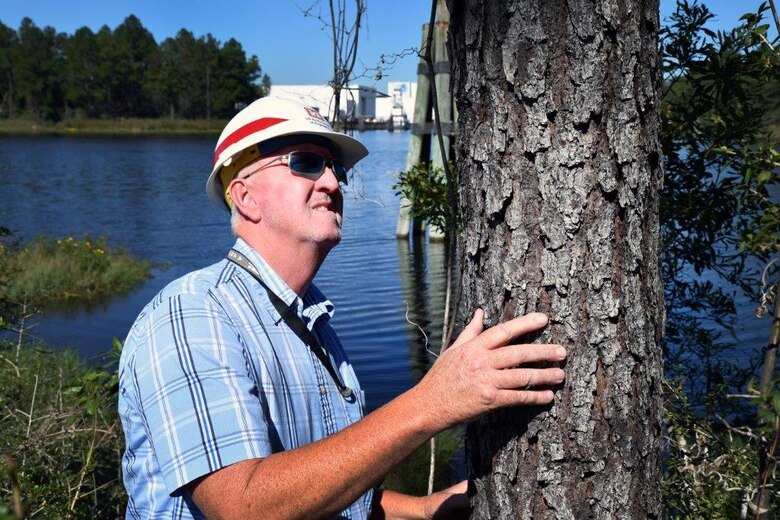 Quinn Kelly, Mobile District forestry technician, inspects a pine tree at Stennis Space Center in Mississippi last week. Kelly protects an acoustic buffer of approximately 142,000 acres around Stennis from wildfires through firebreaks, controlled burns and thinning the timber areas.