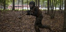 U.S. Marines with the Martial Arts Center of Excellence conduct training on Marine Corps Base Quantico, Va., Oct. 10, 2017