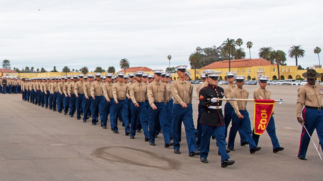 Defense Secretary Jim Mattis stands with hand over heart while service members march by.