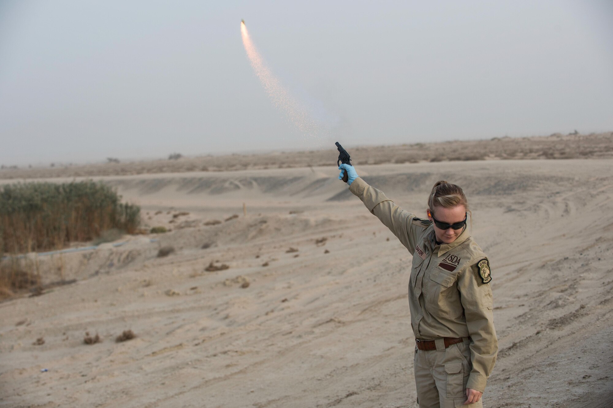 The USDA uses pyrotechnics similar to bottle rockets to scare birds away from habitats on or near airport runways.