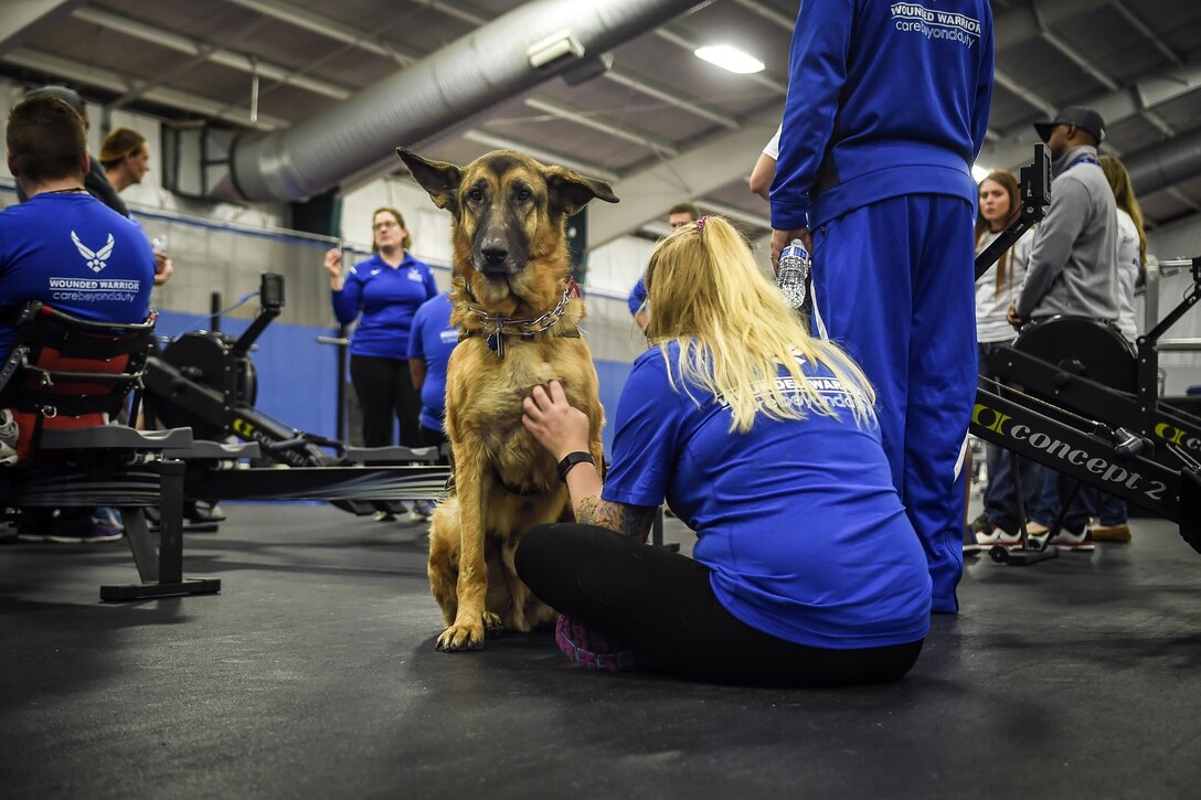 A woman, shown from behind, sits on a gym floor and scratches a dog, who sits facing the camera.