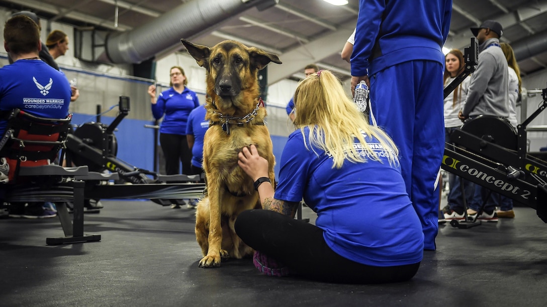 A woman, shown from behind, sits on a gym floor and scratches a dog, who sits facing the camera.