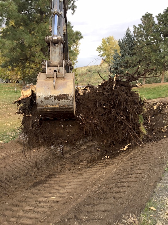 Contractors remove roots and stumps that were intruding into the Mill Creek levee. The U.S. Army Corps of Engineers manages the first mile of the Mill Creek Levee System, Mill Creek Dam and Bennington Lake, located east of Walla Walla, Washington, city limits.