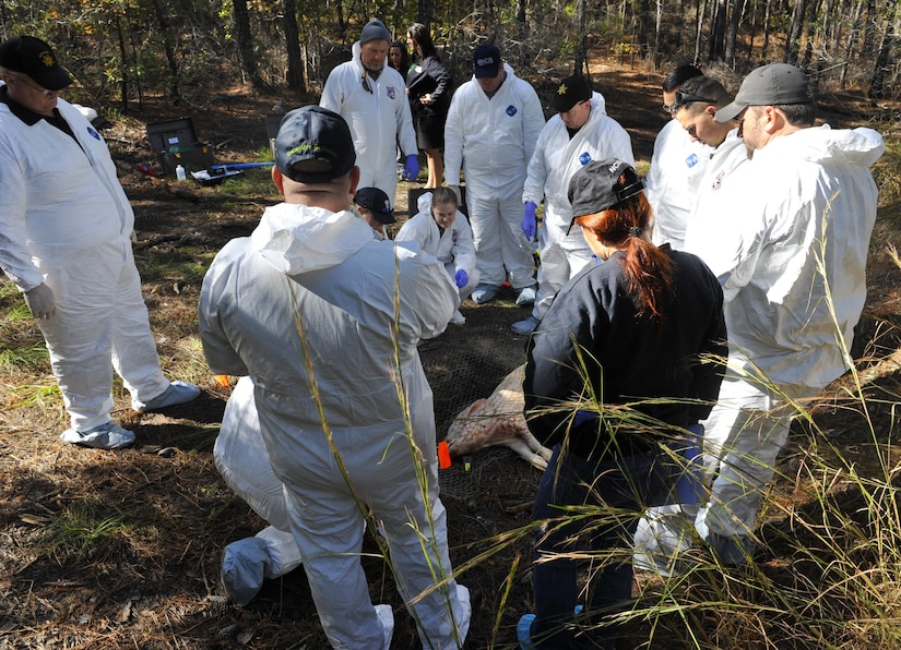 Participants examine a ‘grave site’ during a clandestine grave and human remains recovery training at Joint Bas Charleston, S.C., Nov. 14, 2017.