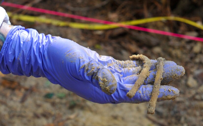 Remains of a pig are recovered during a clandestine grave and human remains recovery training at Joint Base Charleston, S.C., Nov. 14, 2017.