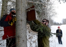 Josh Hightower and Sam Satre, natural resource technicians and Colette Brandt, natural resource manager and biological scientist look for proper placement of a boundary sign at Joint Base Elmendorf-Richardson, Alaska, Nov. 16, 2017. Several signs were posted to identify the tree harvesting areas for the Christmas Tree Harvest 2017 tree cutting program at Joint Base Elmendorf-Richardson.