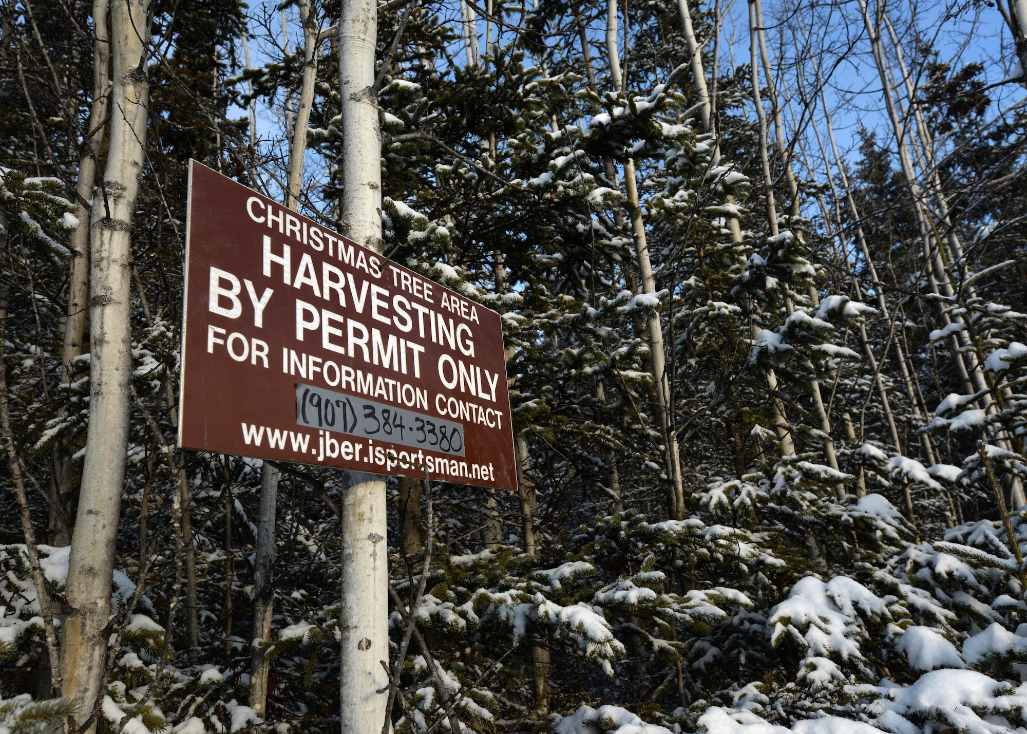 A boundary sign for the Christmas Tree Harvest program hangs from a tree at Joint Base Elmendorf-Richardson, Alaska, Nov. 16, 2017. The tree cutting program is scheduled to begin Nov. 23 and continue through Dec. 26.
