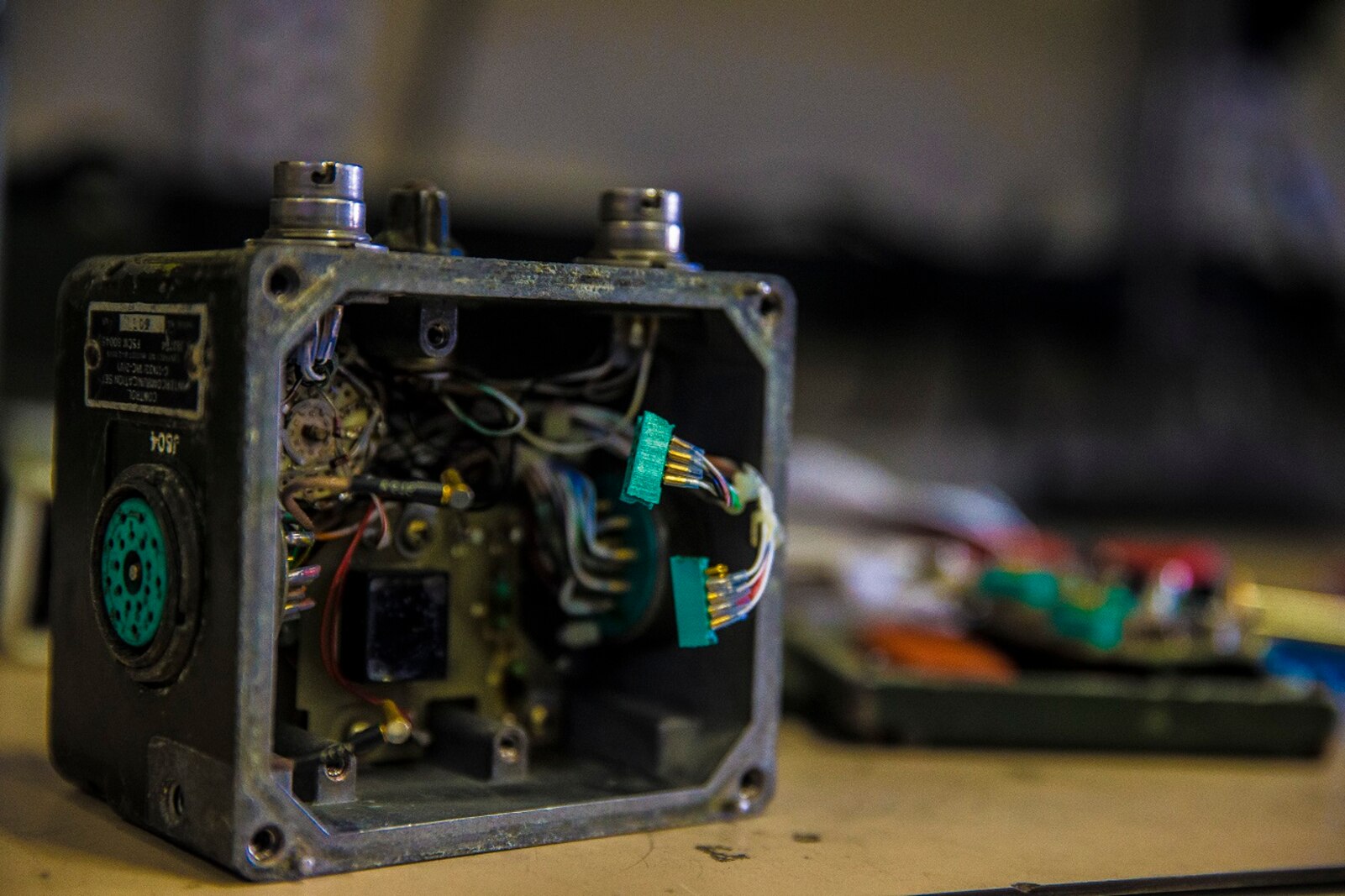 Expeditionary Warfare School Participates in MLG Day