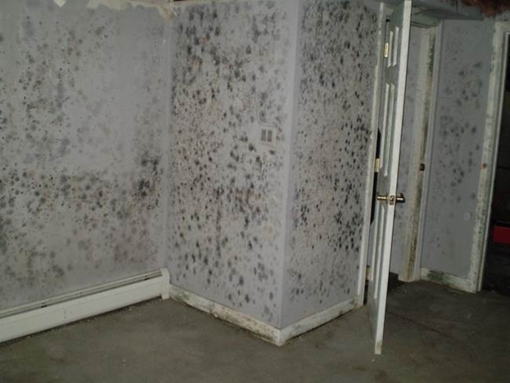 A home left unattended without proper air circulation and excess moisture produce mold at Joint Base Elmendorf-Richardson, Alaska, Nov. 17, 2017. To raise awareness about mold, Aurora Military Housing provides opportunities and resources for inspection, evaluation, and education for tenants.