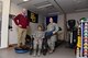 From left to right, U.S. Air Force Senior Airman Tiffani-Amber Petit, a physical therapy technician, Chris Buhr, a physical therapy assistant, and Capt. Bridgette Griffiths, the physical therapy element chief, all assigned to the 509th Medical Operations Squadron, pose with various physical therapy equipment at Whiteman Air Force Base, Mo., Nov. 20, 2017.