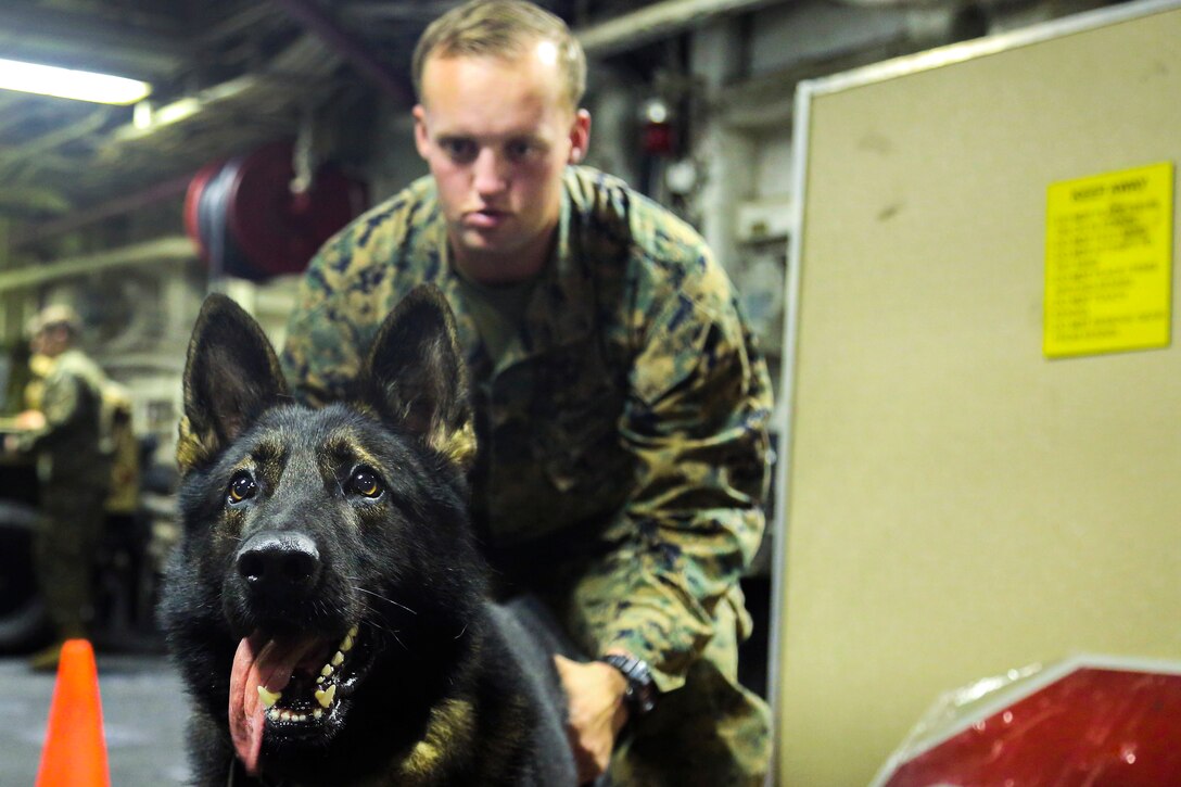 Spidey, a military working dog, takes a break after training aboard the amphibious assault ship USS Iwo Jima.