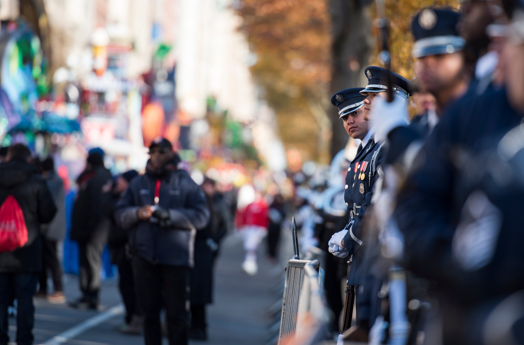 Guardsman looks down parade line
