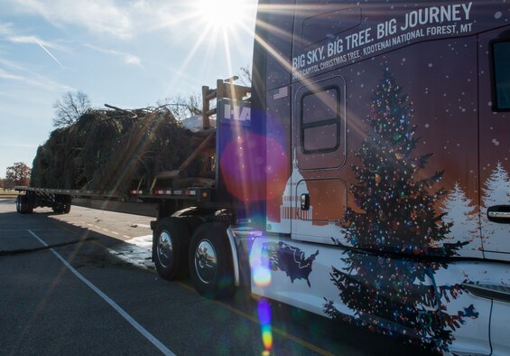 Tree on truck