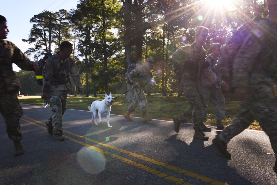 U.S. Air Force Airmen and U.S. Army Soldiers competed to earn the prestigious German Armed Forces Proficiency Badge at Joint Base Langley-Eustis, Va., Oct. 16-20, 2017.