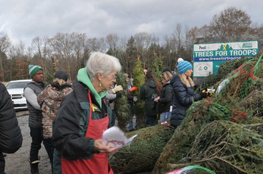 Sally Ellms, of Ellms Family Farm, helps place holiday decorations onto donated Christmas trees with volunteer New York National Guard soldiers and airmen along with local veterans and Patriot Guard Riders for the Trees for Troops shipment at Ellms Family Farm, Ballston Spa, N.Y.