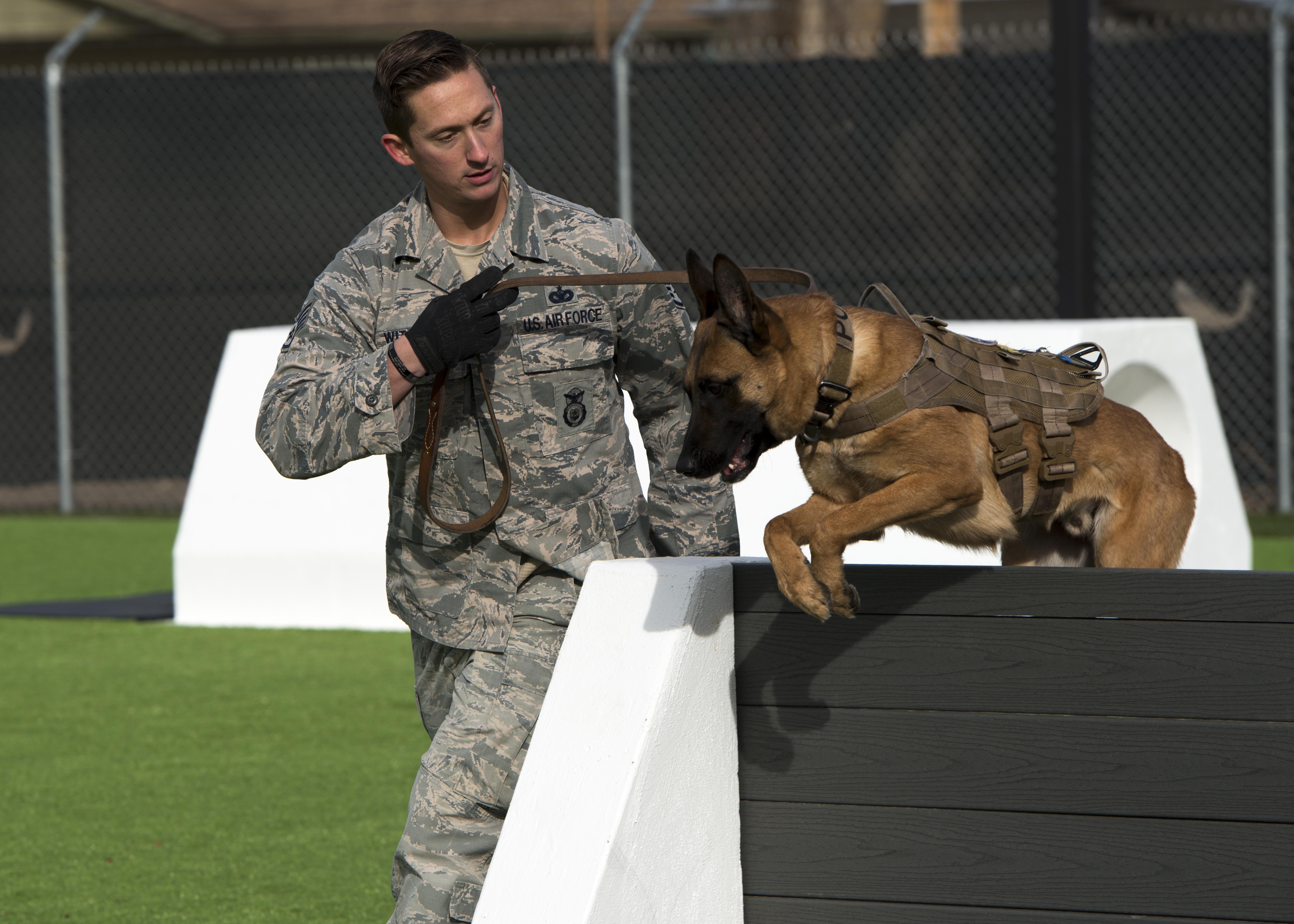 Mountain home air force base opens new military working dog obedience