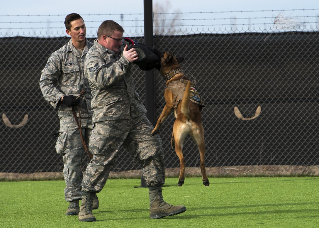 where is mountain home air force base