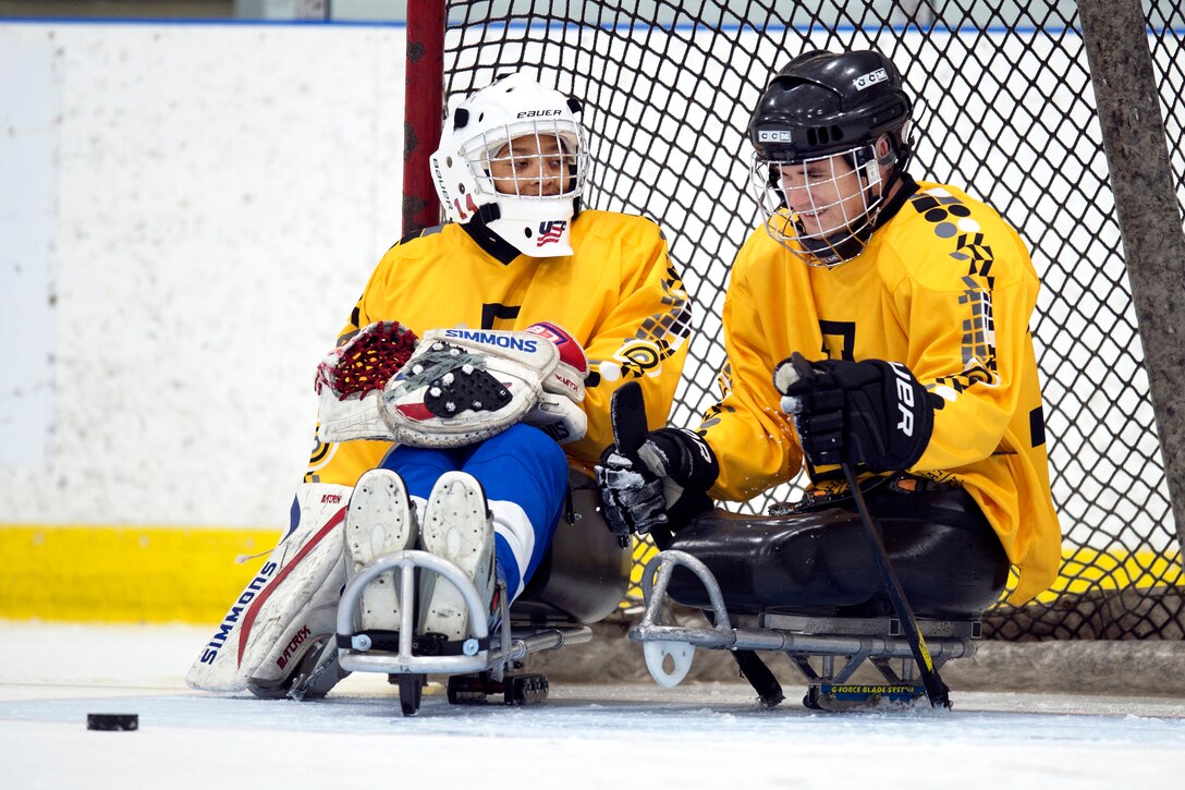 Two players sitting in sleds talk near the hockey goal.