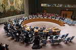 United Nations Security Council unanimously adopts Resolution 2199