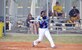 2017 Armed Forces softball tournament