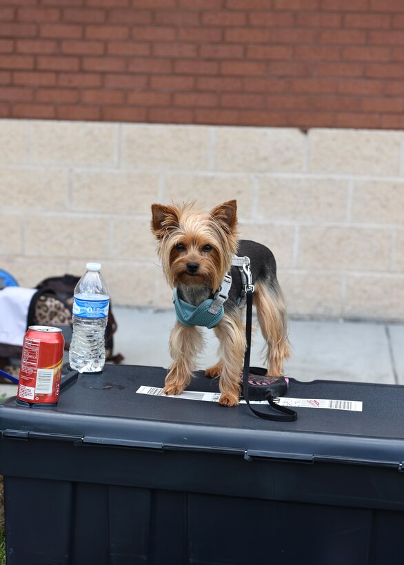 Hurricane processing