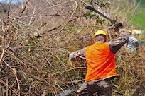A Guardsman uses a machete to cut through tree branches and debis.