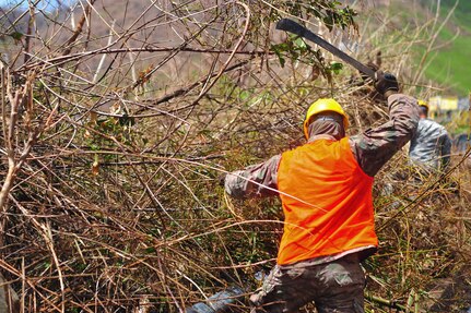 A Guardsman uses a machete to cut through tree branches and debis.