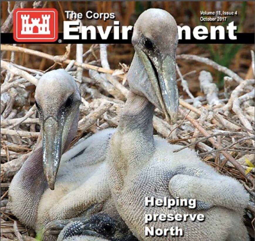 This issue of The Corps Environment features articles about the Alaska National Guard hosting the Pacific Environmental Security Forum; Energy Action Month; the Corps working to manage Hurricane Harvey runoff; EnviroPoint commentary on the Environmental Operating Principles; the Wilmington District helping to preserve seabird habitats; Sturgis decommissioning hits major milestone with nuclear reactor; U.S., Sri Lanka partnership increases oil spill preparedness; video news releases and environmental news clips; and more.