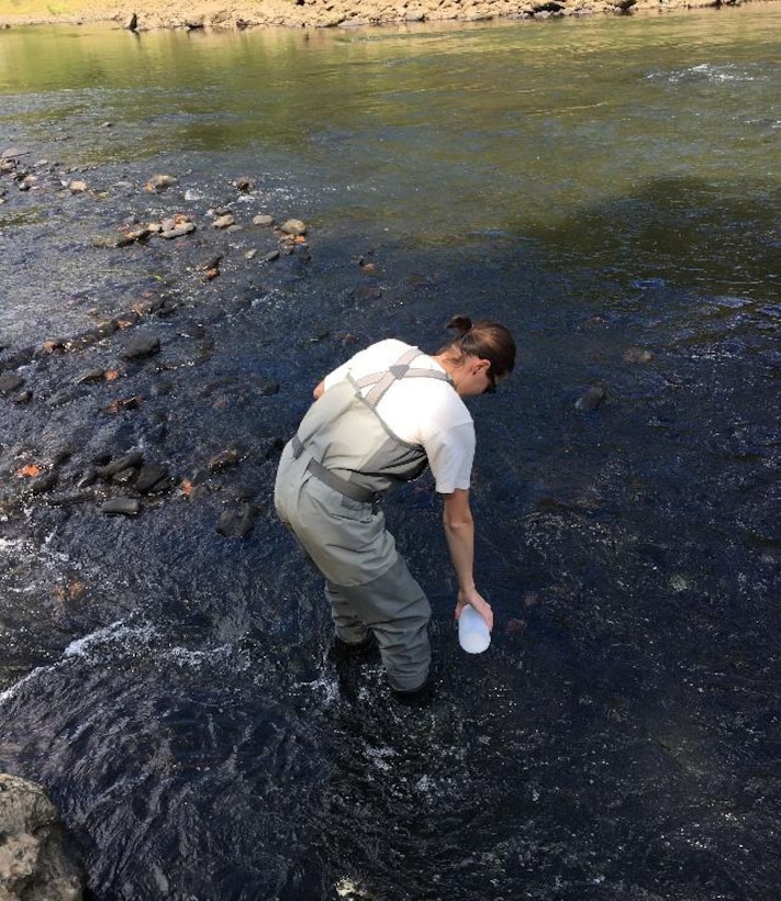 Steve Foster, Kamryn Tufts, Andy Johnson, Emma Kist, Christy Stefanides, and Thaddaeus Tuggle, Huntington District Water Quality, collected water chemistry and chlorophyll in the lake, tail waters, and inflows of Bluestone, Burnsville, Summersville, and Sutton Lakes.