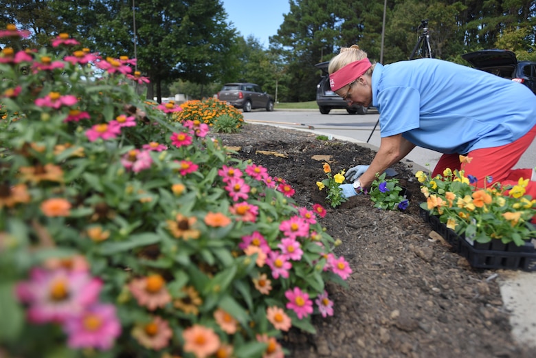 Cheatham County Master Gardener Intern Suzanne Hale plants pansies in the pollinator garden Sept. 30, 2017 at Cheatham Lake in Ashland City, Tenn.  Volunteer gardeners are needed to join the team responsible for developing, maintaining and improving the gardens, working toward certification as a Monarch Waystation at the U.S. Army Corps of Engineers Nashville District project. (USACE photo by Lee Roberts)