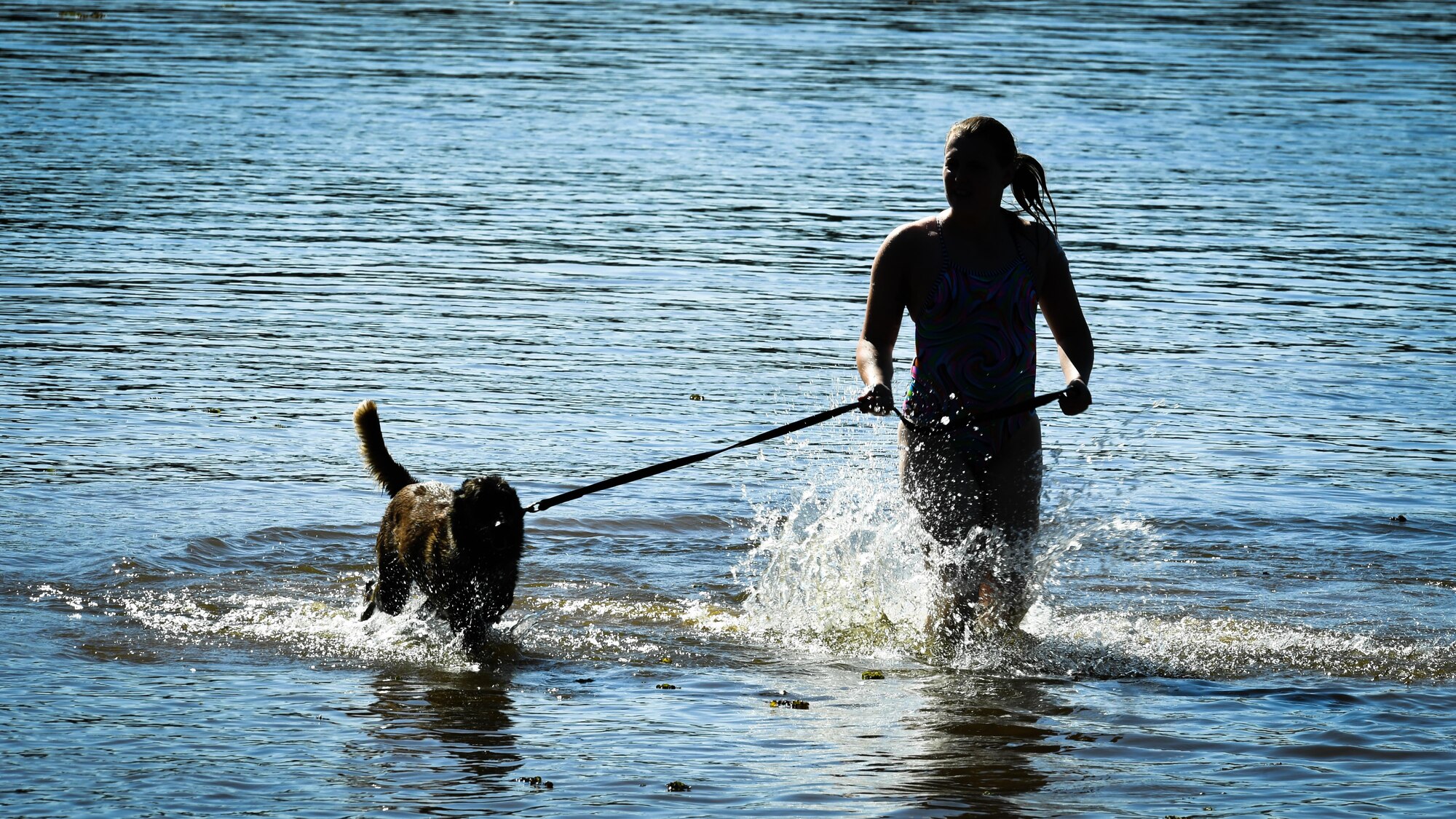 Staff Sgt. Briana Hartwig, 2nd Security Forces Squadron military working dog handler, walks MWD Zzeki in the Black Bayou Lake before a water aggression training session at Benton, La., Sept. 6, 2017. Handlers attempt to conduct water aggression training at a minimum of twice a year. The training session taught MWDs to chase and stop suspects in a body of water without hesitation
