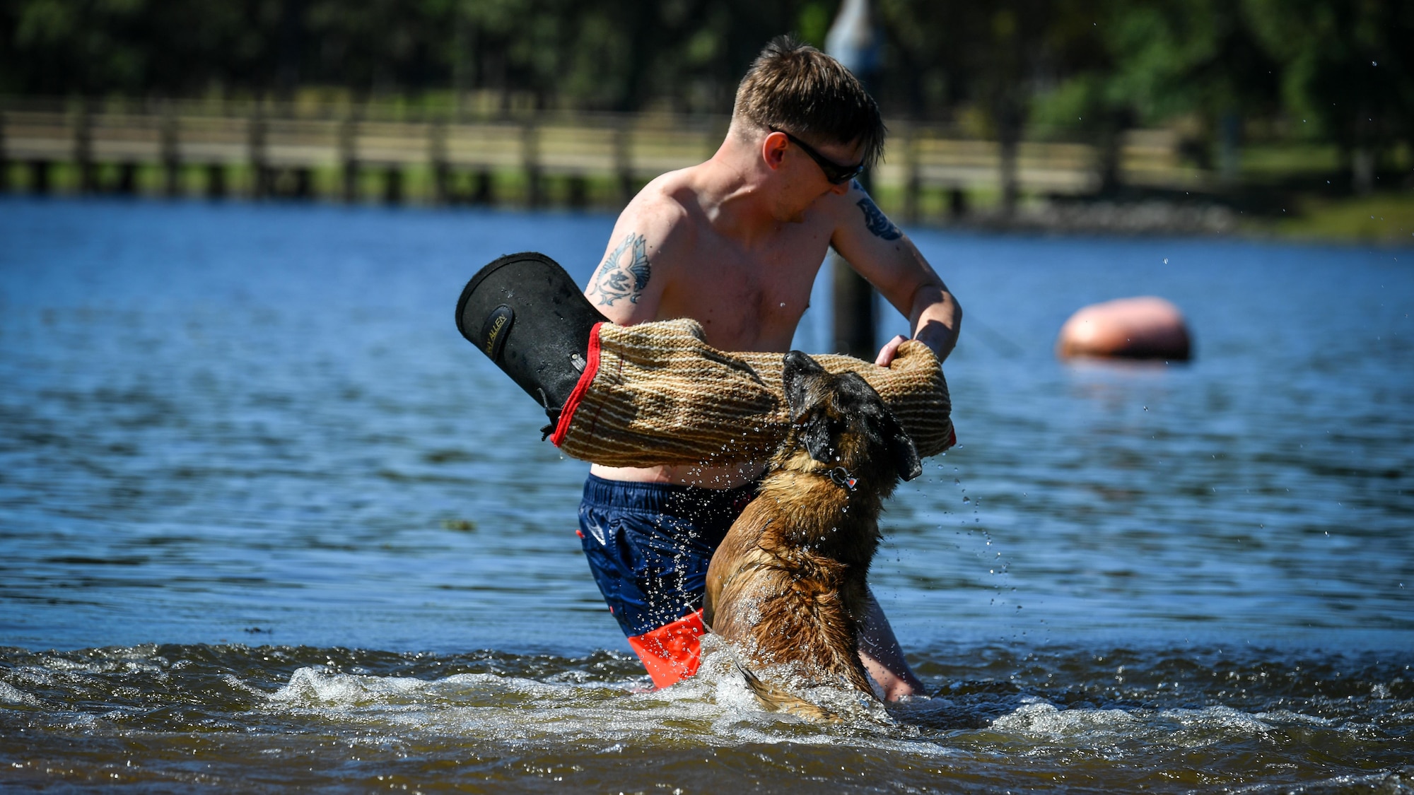 Senior Airman William Sims, 2nd Security Forces Squadron military working dog handler, attempts to evade MWD Zzeki during a water aggression training session at Black Bayou Lake in Benton, La., Sept. 6, 2017. MWDs performed bite drills designed to slow down or stop suspects attempting to flee apprehension by escaping into a body of water