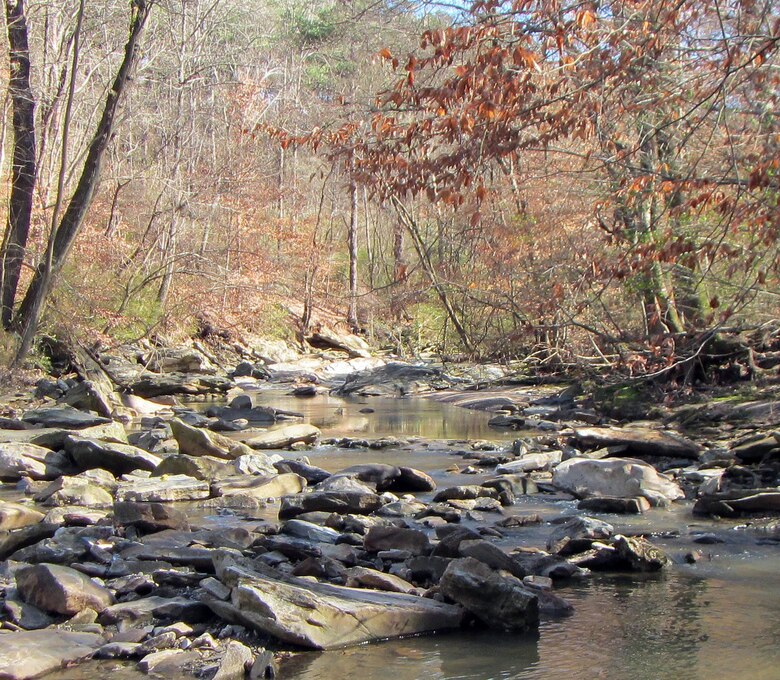 The Proctor Creek Ecosystem Restoration study, which began in 2015, is looking into potential plans to restore the Proctor Creek Ecosystem that has been ravaged by years of unsustainable land use practices and encroachment. Recently, the Environmental Protection Agency Urban Waters Team was awarded the 2017 Samuel J. Heyman People’s Choice Service to America medal, which included the Proctor Creek study in its nomination packet.