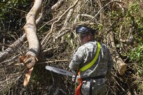 Clearing roads in Puerto Rico