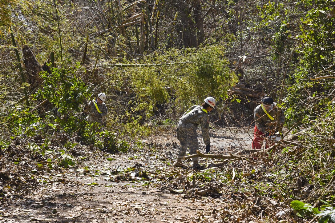 Clearing roads in Puerto Rico