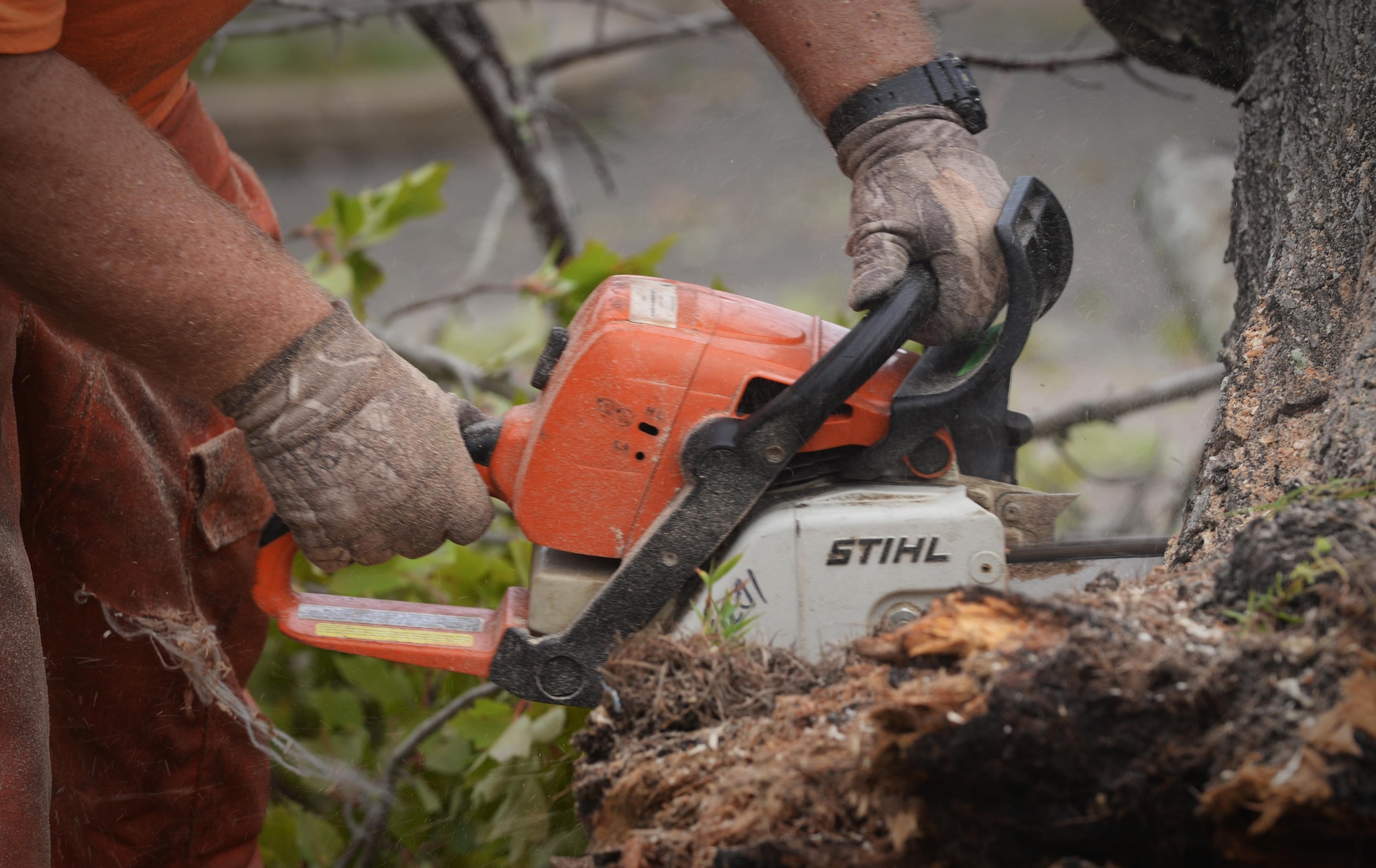 Vectrus contractors work to clear fallen trees and debris on Keesler Air Force Base, Mississippi, Oct. 8, 2017, after Hurricane Nate, a category one hurricane, made landfall just West of the base. There were no injuries to Keesler AFB personnel and the base sustained no major damage or significant flooding. This is the first hurricane to hit the base since Katrina in 2005, which caused devastation along the Gulf Coast. (U.S. Air Force photo by Senior Airman Travis Beihl)