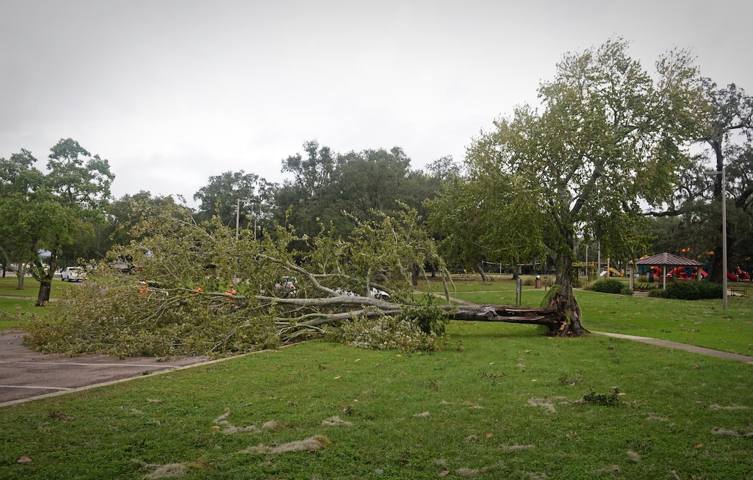 Vectrus contractors work to clear fallen trees and debris on Keesler Air Force Base, Mississippi, Oct. 8, 2017, after Hurricane Nate, a category one hurricane, made landfall just West of the base. There were no injuries to Keesler AFB personnel and the base sustained no major damage or significant flooding. This is the first hurricane to hit the base since Katrina in 2005, which caused devastation along the Gulf Coast. (U.S. Air Force photo by Senior Airman Travis Beihl)