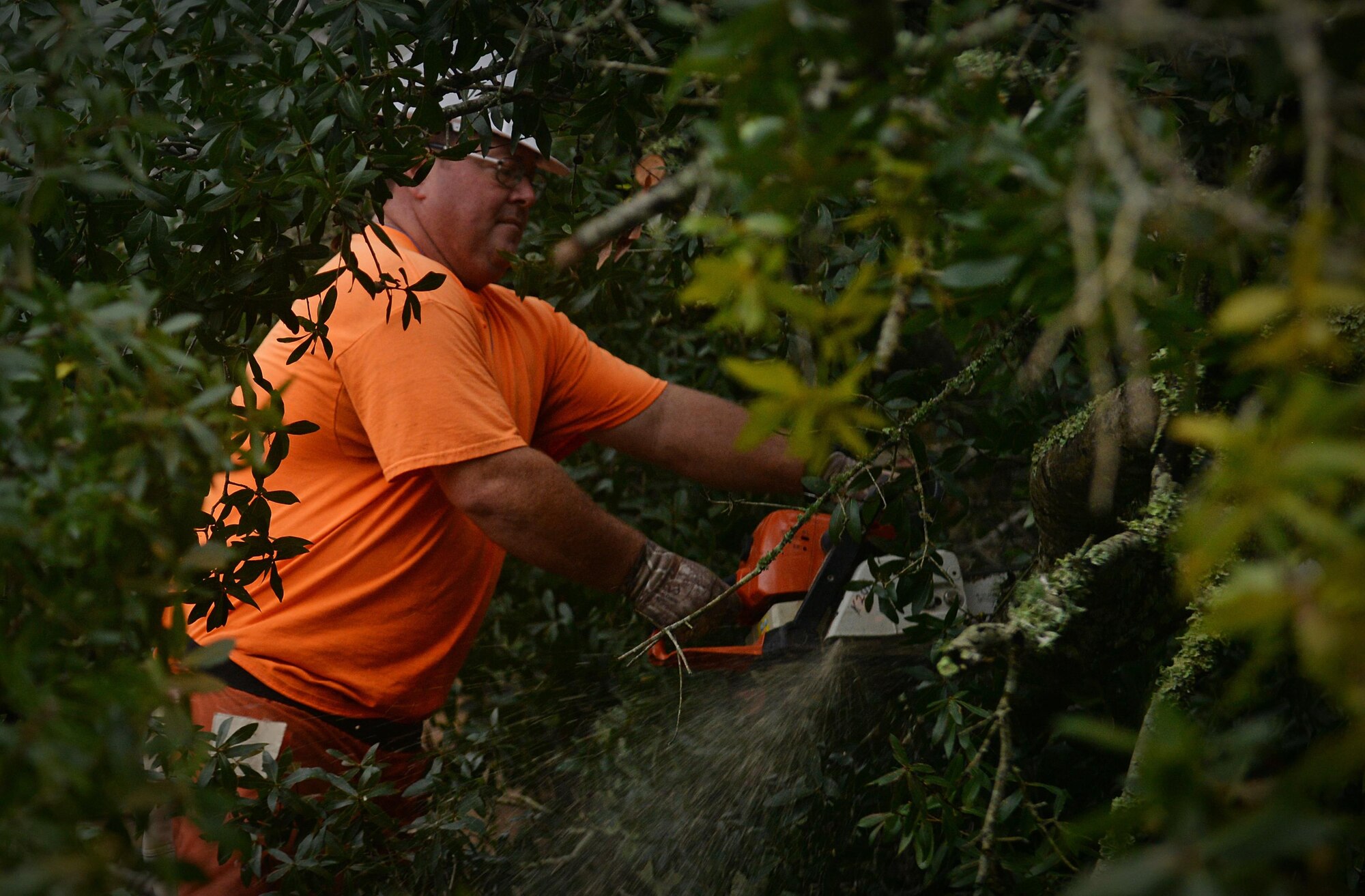 Vectrus contractors work to clear fallen trees and debris on Keesler Air Force Base, Mississippi, Oct. 8, 2017, after Hurricane Nate, a category one hurricane, made landfall just West of the base. There were no injuries to Keesler AFB personnel and the base sustained no major damage or significant flooding. This is the first hurricane to hit the base since Katrina in 2005, which caused devastation along the Gulf Coast. (U.S. Air Force photo by Senior Airman Travis Beihl)