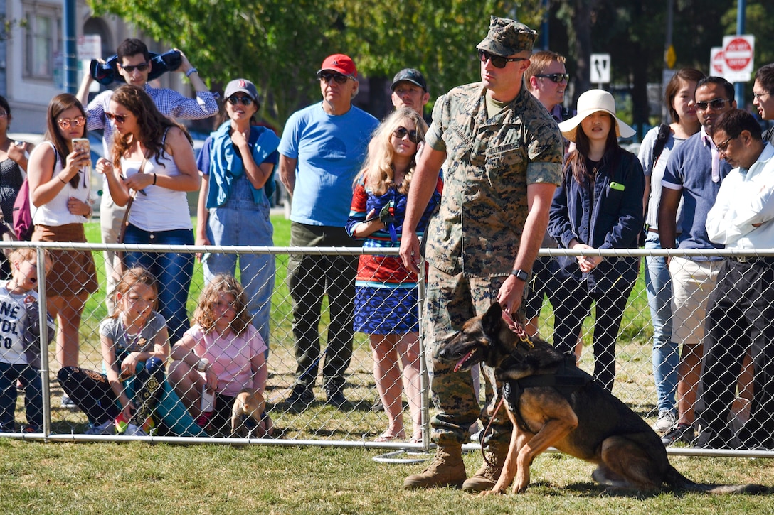 Marine Corps Lance Cpl. John Sandherr prepares to release Lotor, a military working dog, to demonstrate a controlled aggression technique.