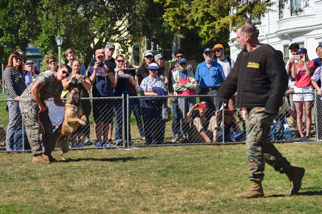 Marine Corps Lance Cpl. Braxton Rico, left, prepares to release Lotor, a military working dog, on Lance Cpl. John Sandherr acting as an aggressor to demonstrate a controlled aggression technique.