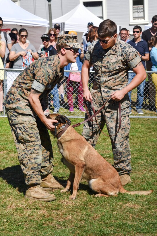 Marine Corps Sgt. Alex Scott and Lance Cpl. Braxton Rico test the muzzle on Uurzua, a military working dog, at Duboce Park during Fleet Week San Francisco.