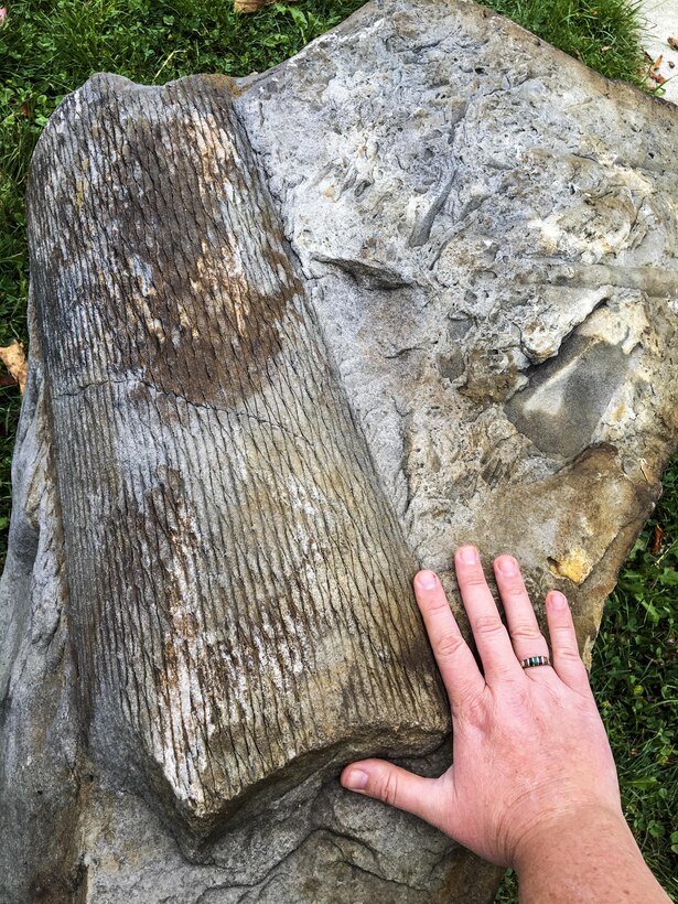 Pittsburgh District’s East Branch Lake team extracted a fossil from the lakes shoreline, Oct. 5.